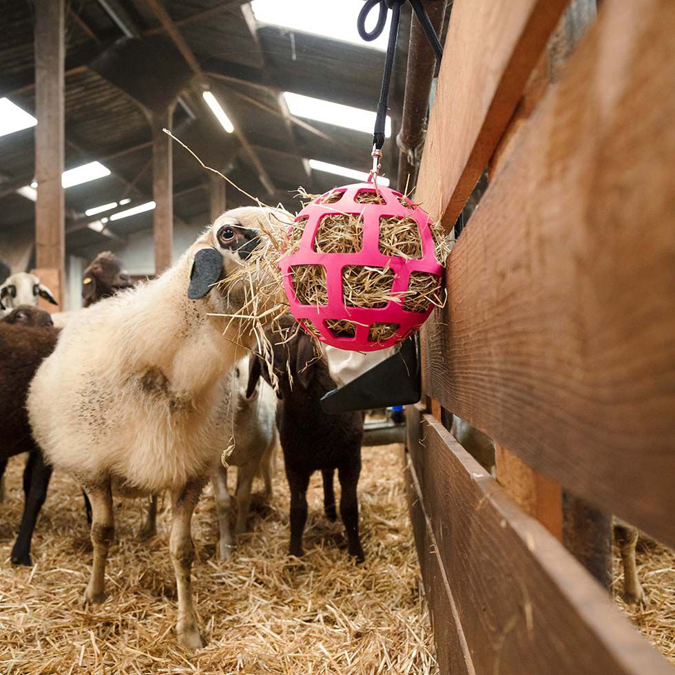 Excellent Hay Slowfeeder - Voerbal - Roze - Natuurrubber