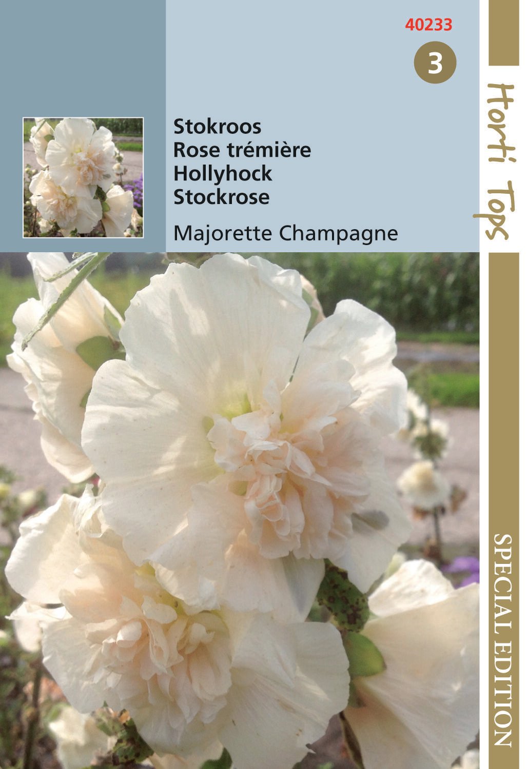 Hortitops Stokroos Majorette Champagne Althaea rosea - Bloemzaden Hortitops Stokroos Majorette Champagne Althaea rosea - Bloemzaden