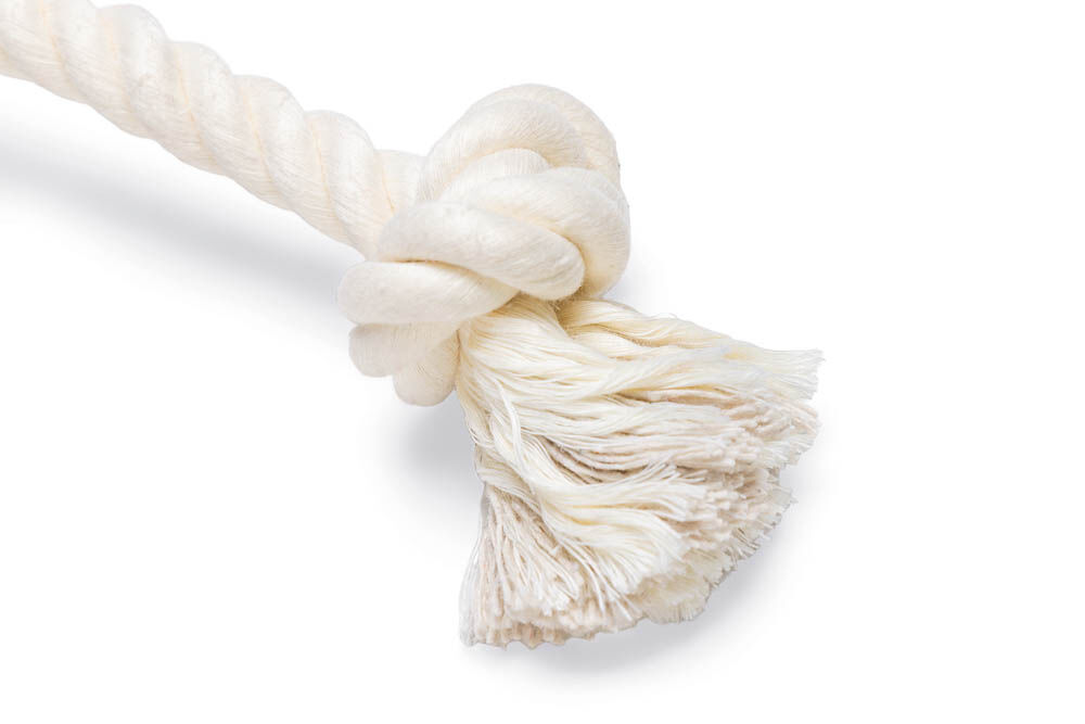 Beeztees Lolly Flostouw - Kerst Hondenspeelgoed - 37x11x5.3 cm