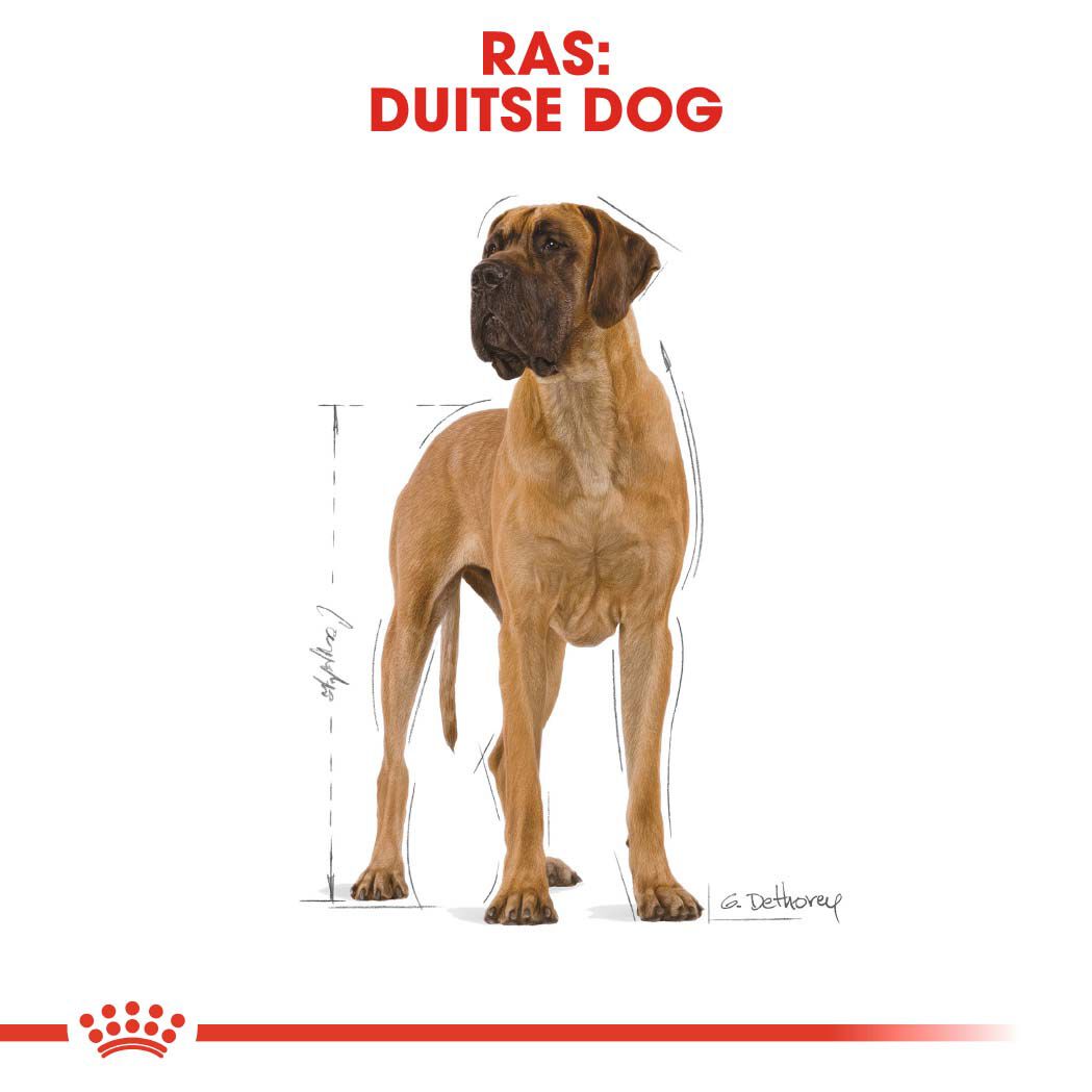 Royal Canin Great Dane Adult - Hondenvoer - 12 - gevogelte