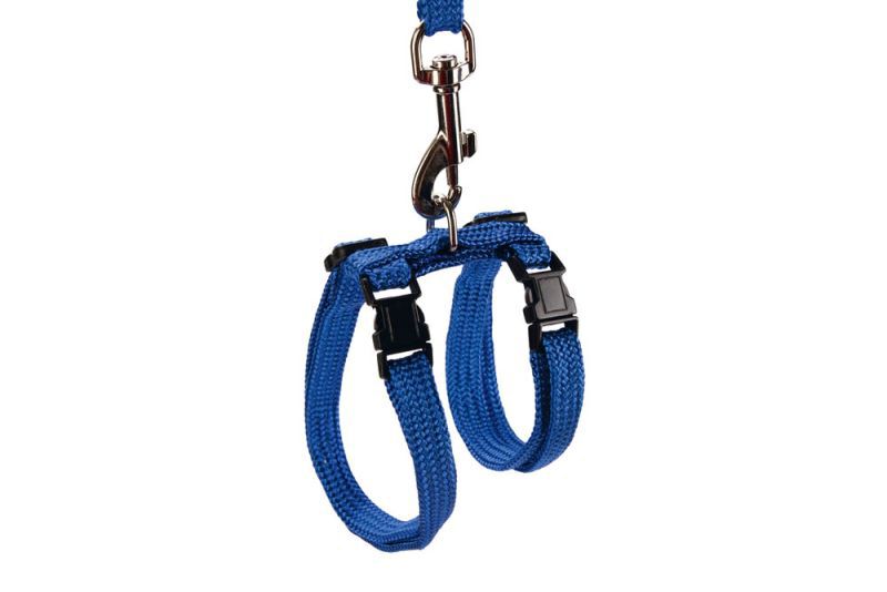 BEEZTEES - Kattentuigje - Blauw - 10 mm - 100 cm