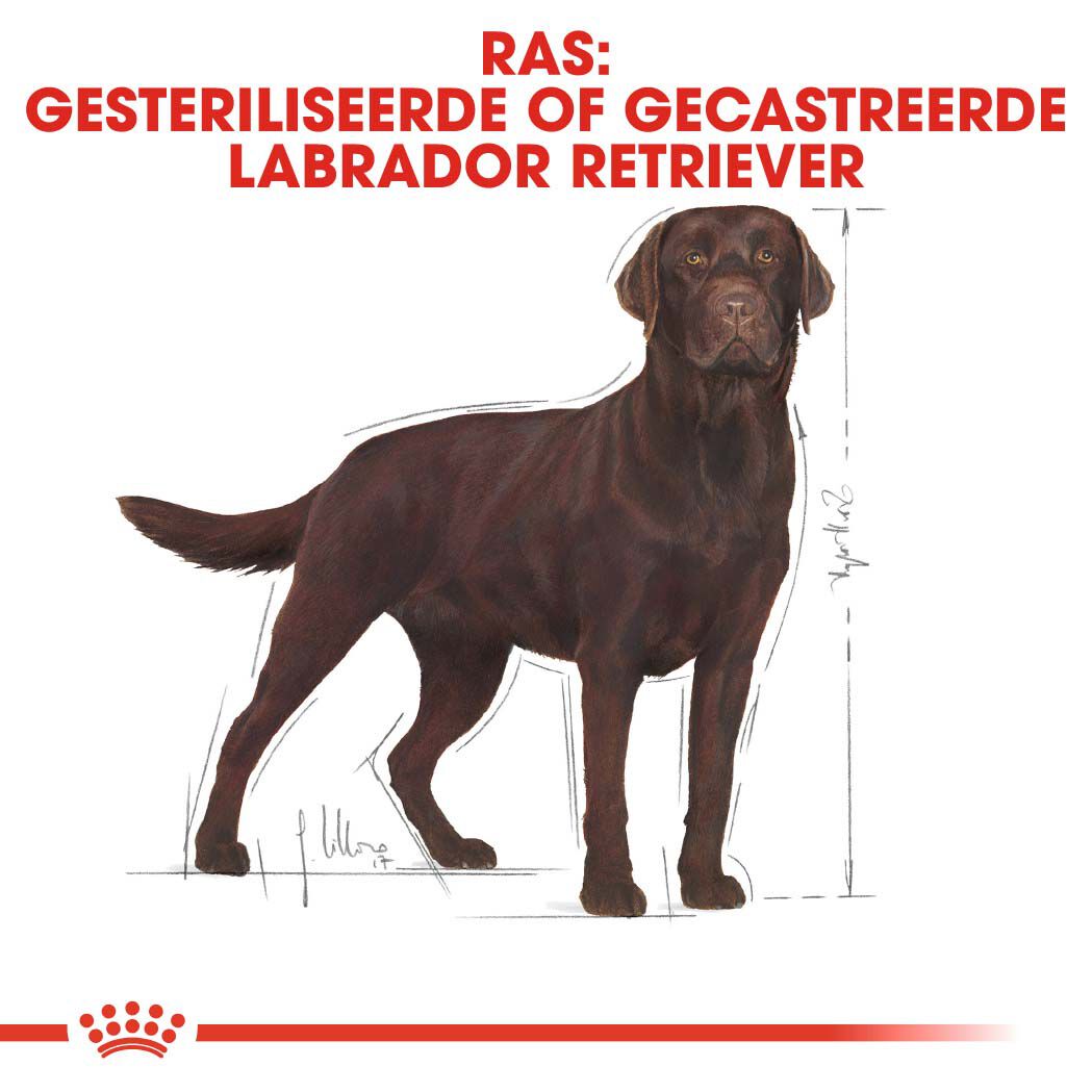 Royal Canin Labrador Retriever Sterilised - Hondenvoer - 12 - gevogelte