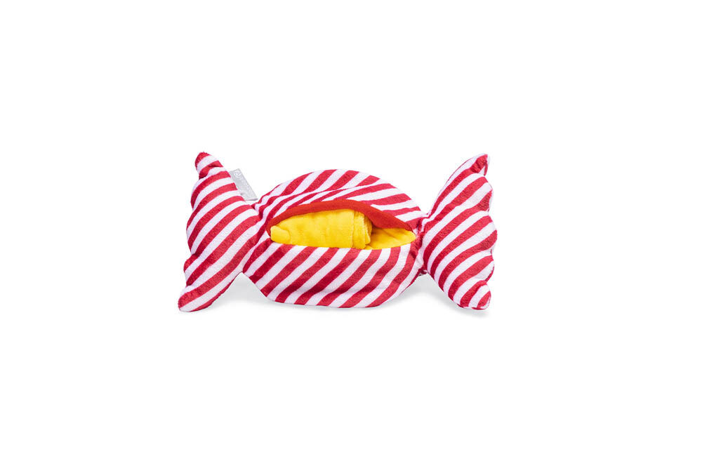 Beeztees Hide and Seek Schilpad - Snuffelmat - Hondenspeelgoed Beeztees Hide and Seek Schilpad - Snuffelmat - Hondenspeelgoed
