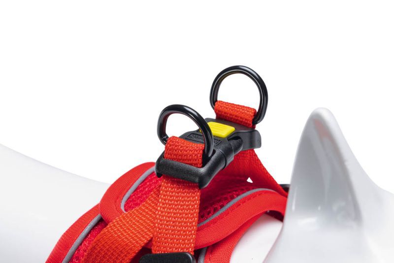 Beeztees Parinca - Kattentuigje - 31 cm - Rood - S-M