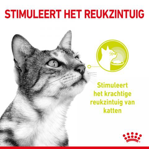 Royal Canin Sensory Multipack - Kattenvoer - 1020