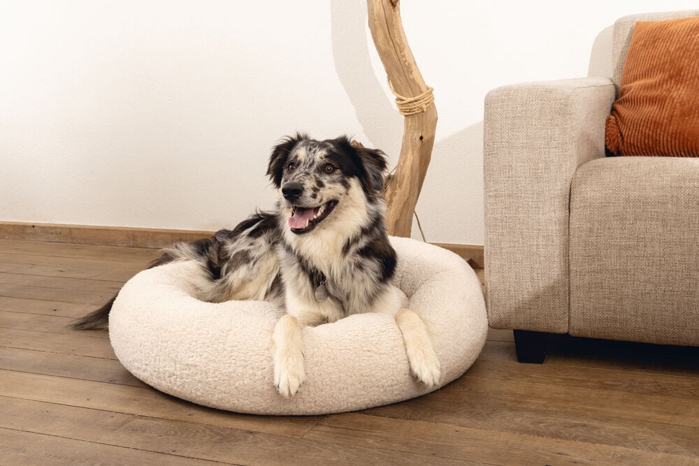 Beeztees Jaxx Orthopedisch - Hondenmand - beige - 20x50x50 cm - S