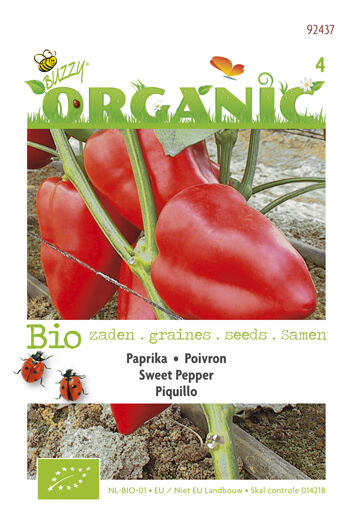 Buzzy Paprika Capsicum annuum Piquillo rood - Paprika Buzzy Paprika Capsicum annuum Piquillo rood - Paprika