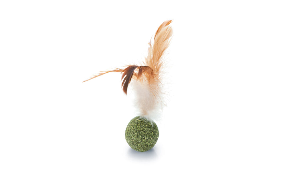 Beeztees Catnip Bal met veren - Kattenspeeltje Beeztees Catnip Bal met veren - Kattenspeeltje
