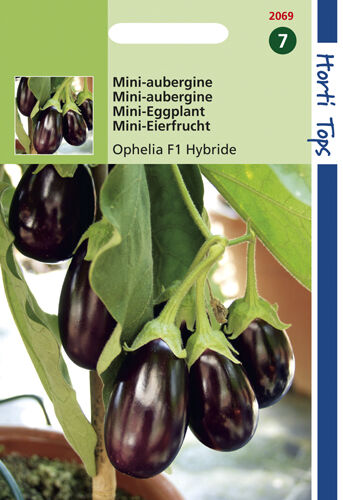 Hortitops Aubergine Solanum Melongena - Groentezaden Hortitops Aubergine Solanum Melongena - Groentezaden