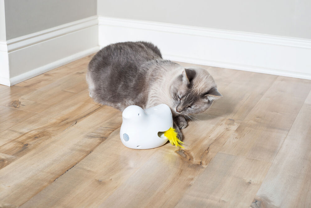 Petsafe Peek-a-bird - Kattenspeeltje