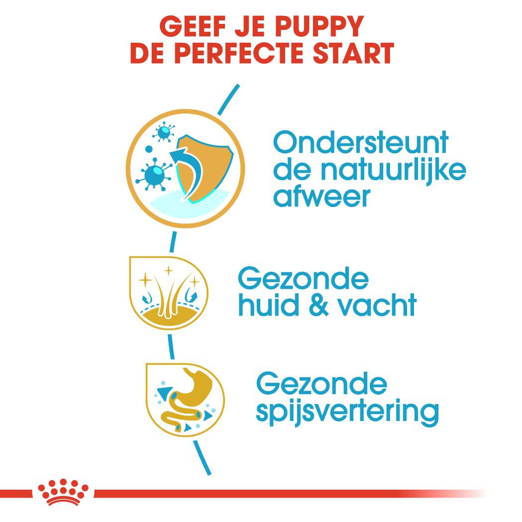 Royal Canin Golden Retriever Junior - Hondenvoer - 12 - gevogelte