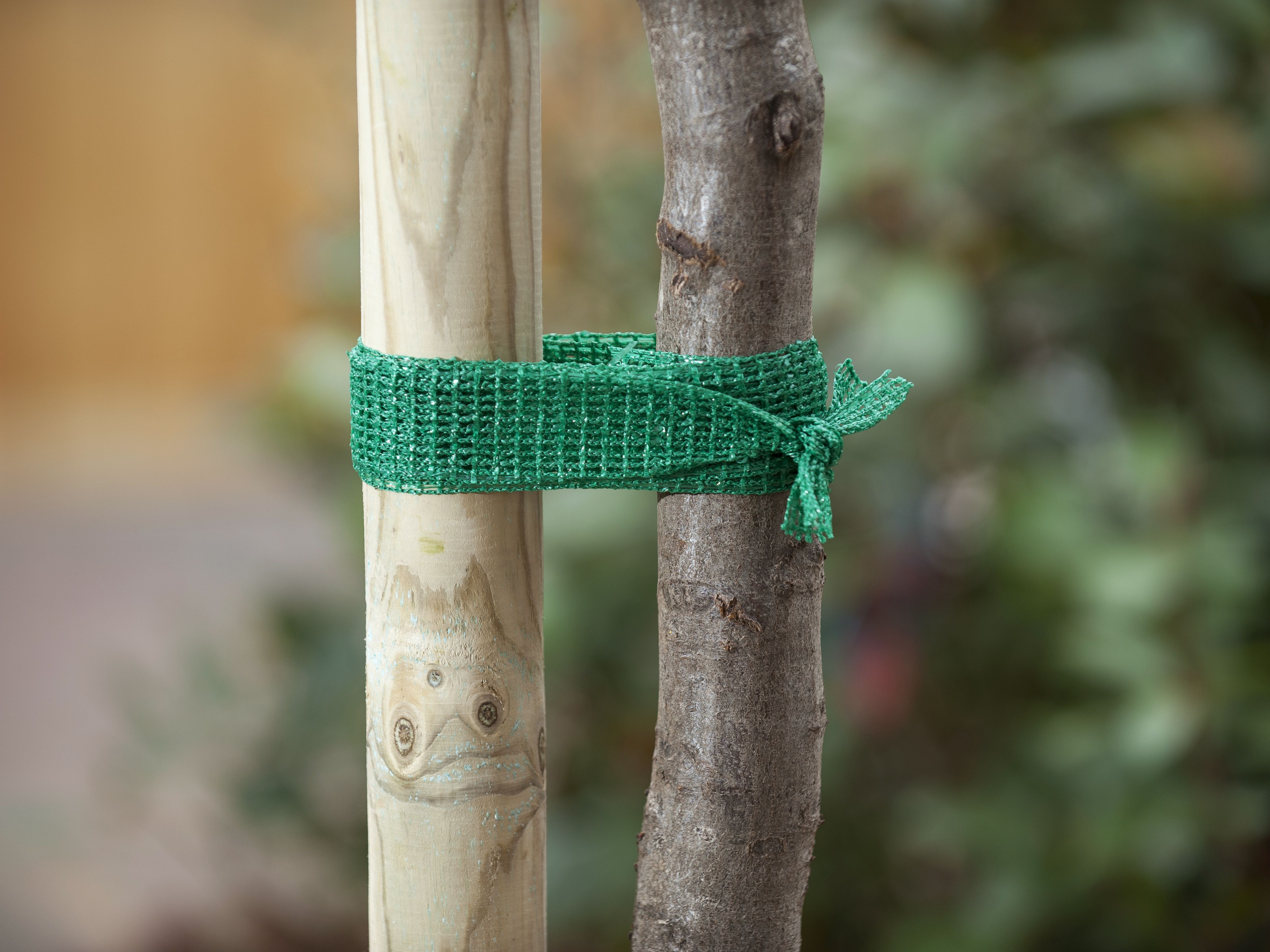 Nature Boomband - 200x4cm - Touw en Bindmaterialen Nature Boomband - 200x4cm - Touw en Bindmaterialen