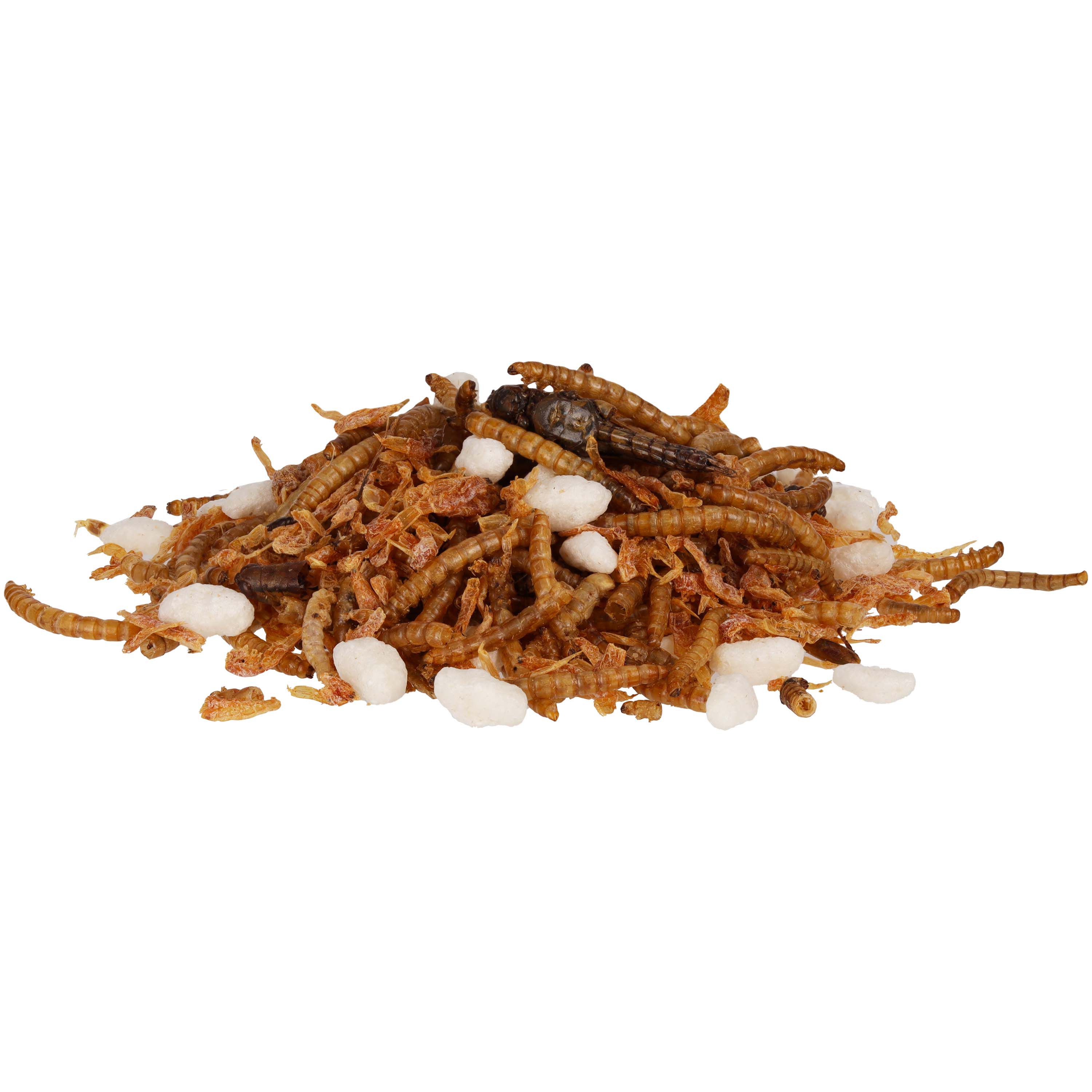 Welkoop Insectenmix - Kippensnack - 400