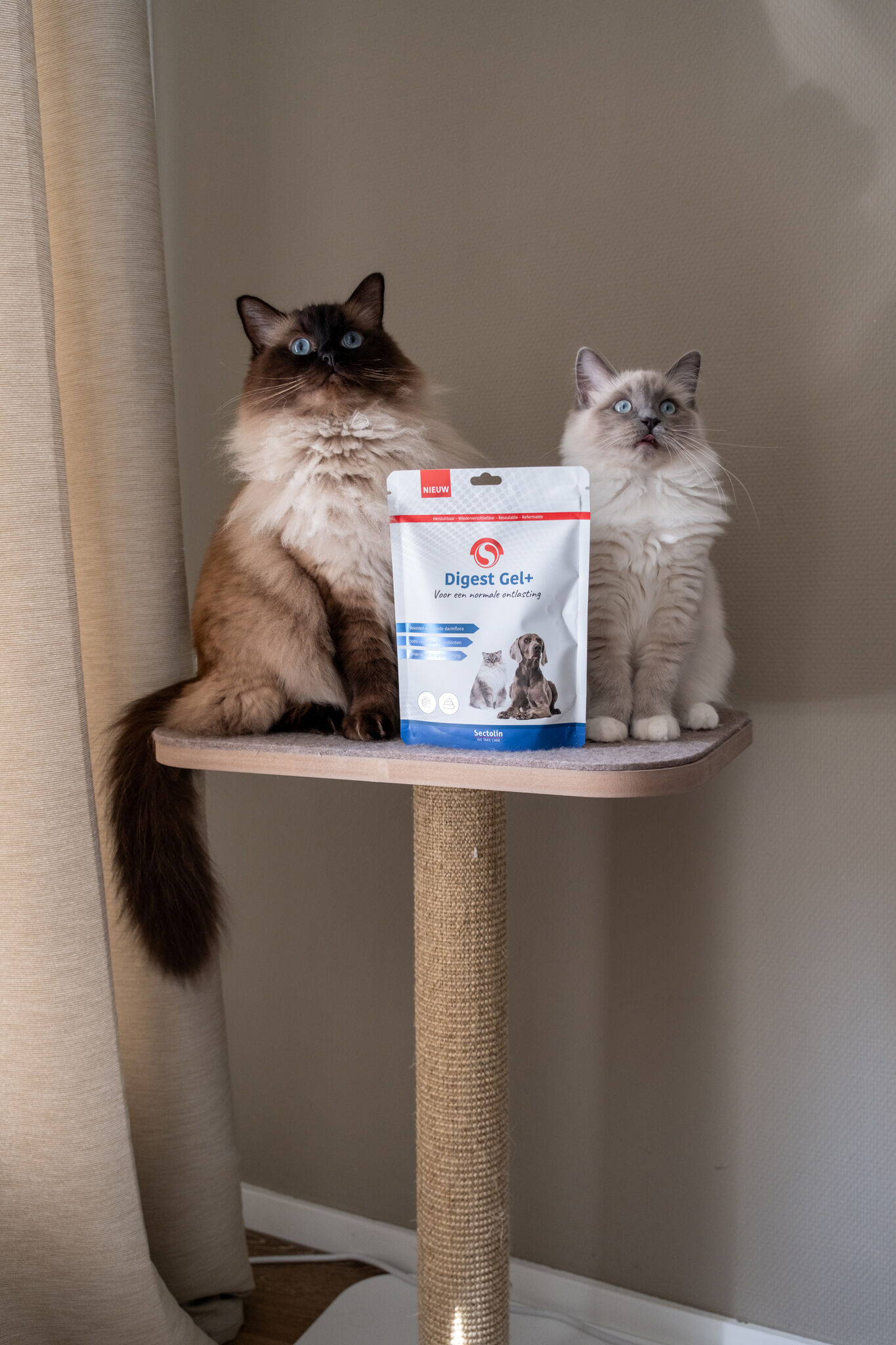 Sectolin Digest Gel+ Spijsvertering en darmflora Prebiotica - Hond en Kat - 100