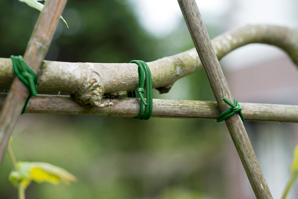 Nature - Bindbuis - 50 meter - Groen - 17x12x18 cm - 5000 cm