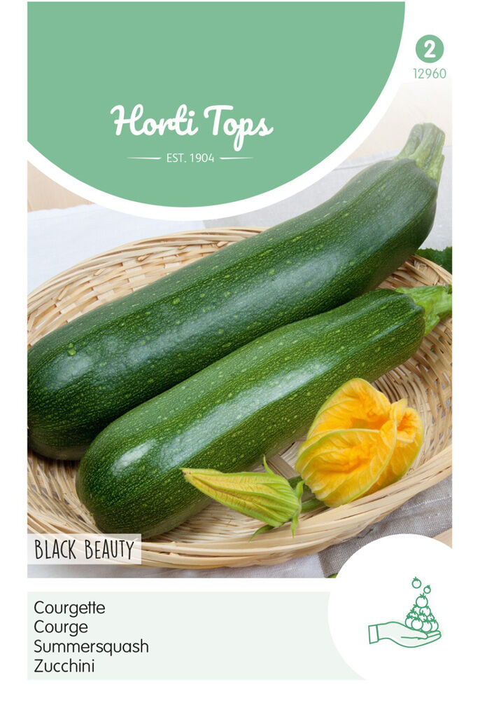 Hortitops Courgette Cucurbita pepo Black Beauty - Verte De Milan - Courgette Hortitops Courgette Cucurbita pepo Black Beauty - Verte De Milan - Courgette