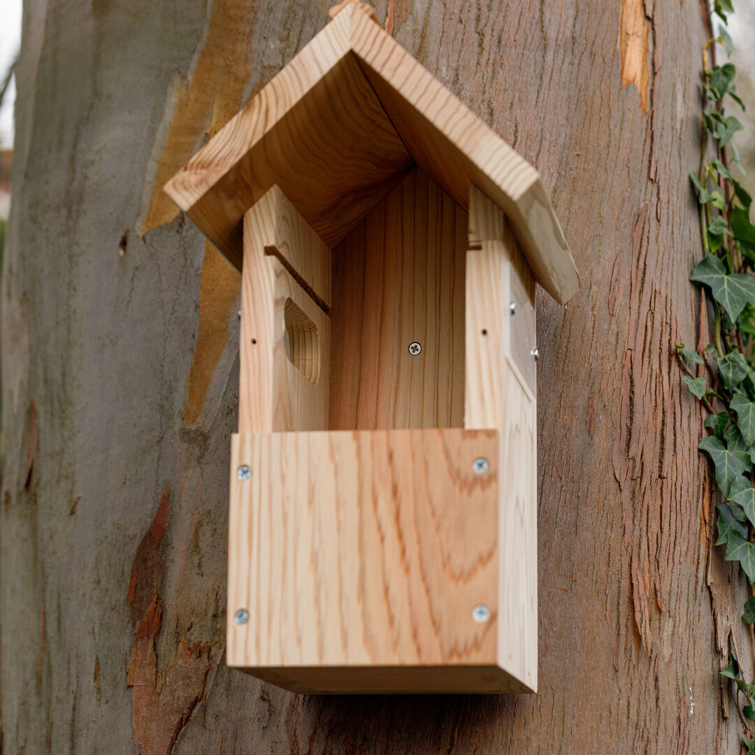 Nestera - Nestkast - met Wifi-Camera