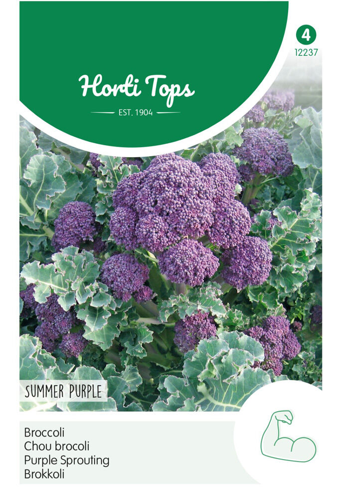 Hortitops Broccoli Brassica oleracea Summer Purple - Broccoli Hortitops Broccoli Brassica oleracea Summer Purple - Broccoli