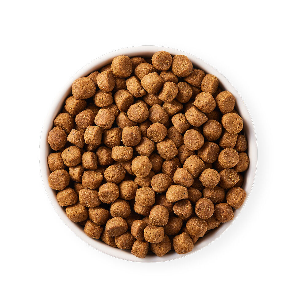 Yarrah Adult Biologisch - Hondenvoer - 15 - haring, kip