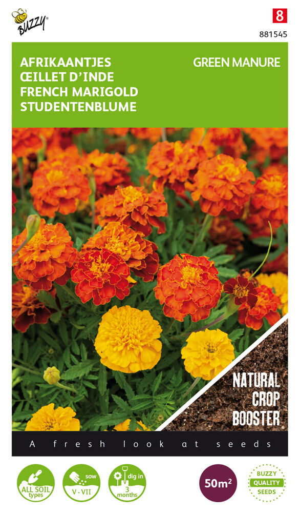 Buzzy Afrikaantje Tagetes - Groenbemester
