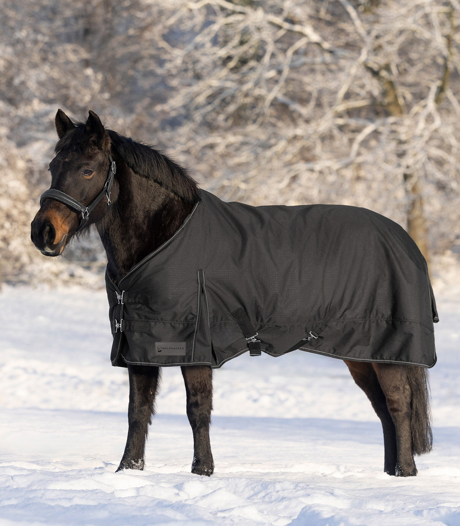 Waldhausen Nordic 300 gr - Winterdeken - Paardendeken - 1.00 cm - Zwart - 1.00 cm - 105/155 - 1.00 cm