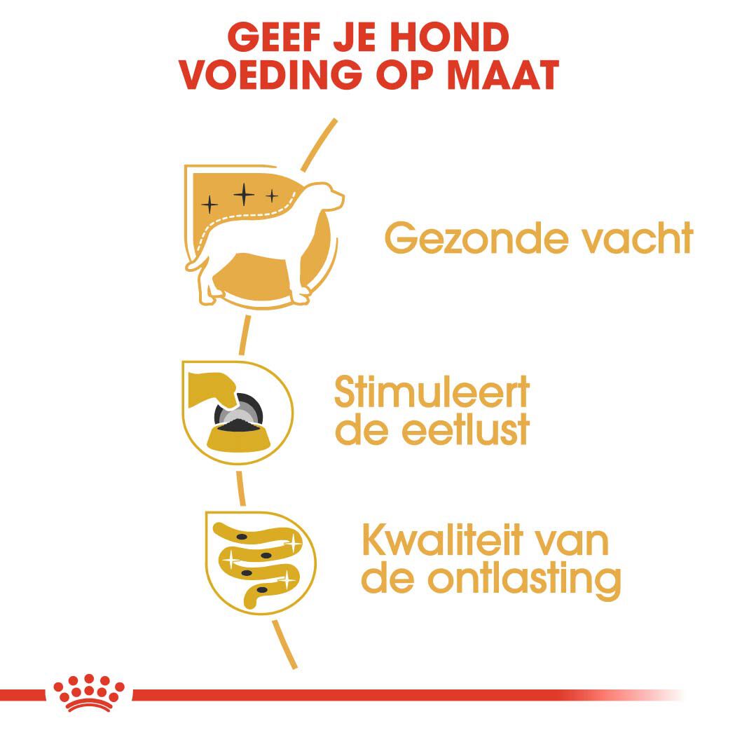 Royal Canin Yorkshire Terrier Adult Pouch - Hondenvoer - 1020 - gevogelte