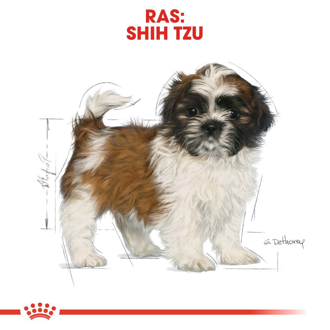 ROYAL CANIN® Rasvoeding - Hondenvoer - 1500 - gevogelte
