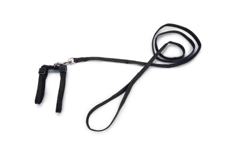 BEEZTEES - Kattentuigje - Zwart - 10 mm - 100 cm