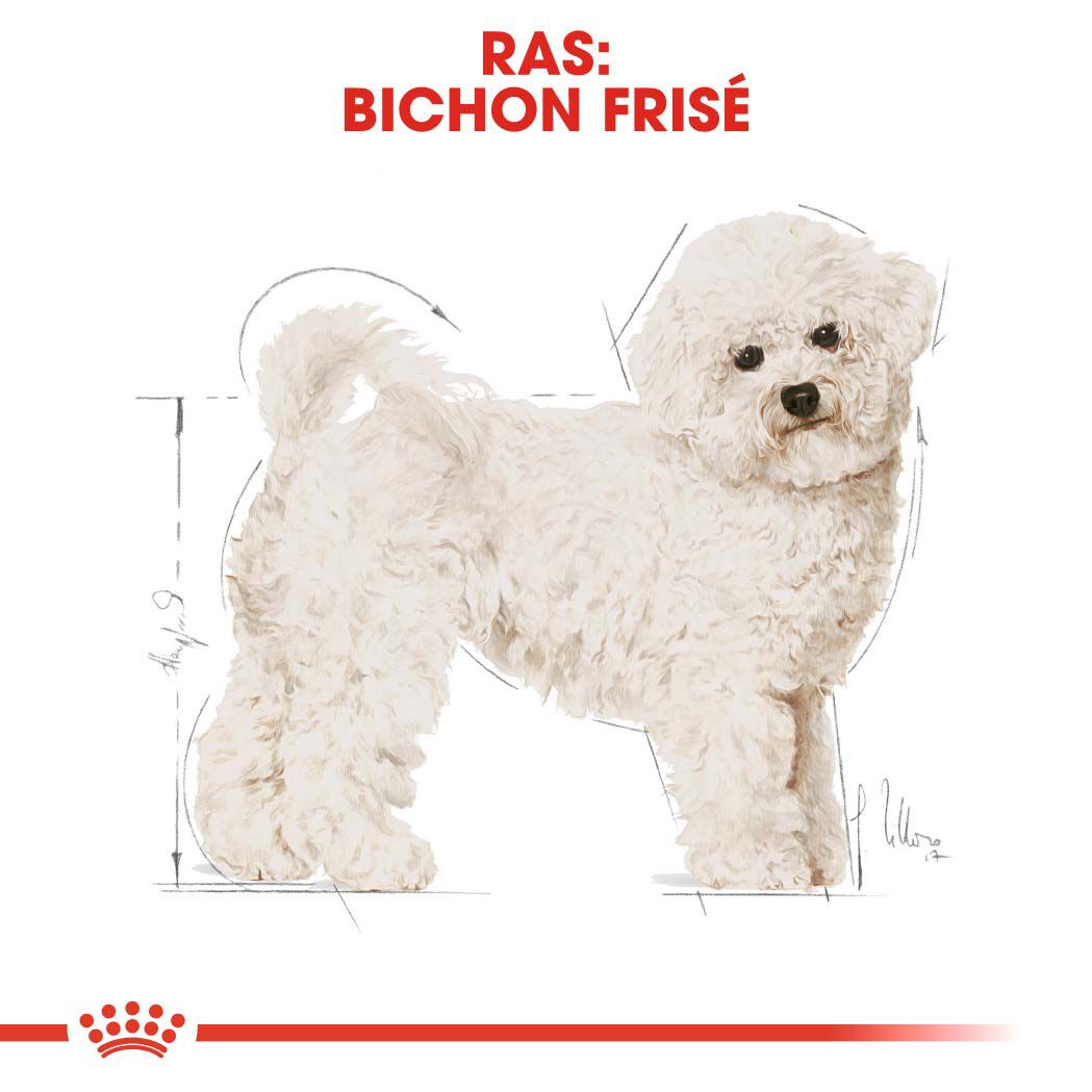 Royal Canin Bichon Frisé Adult - Hondenvoer - 1.5 - gevogelte