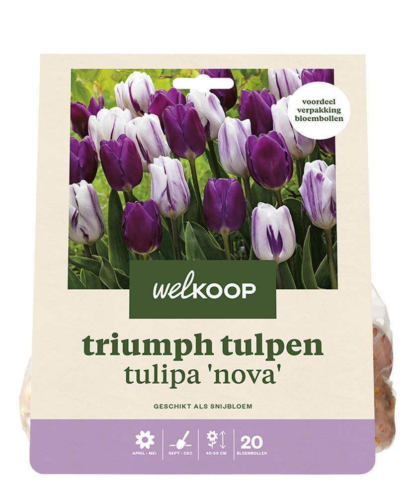 Welkoop Tulpen mix Fleur - Bloembollen Welkoop Tulpen mix Fleur - Bloembollen