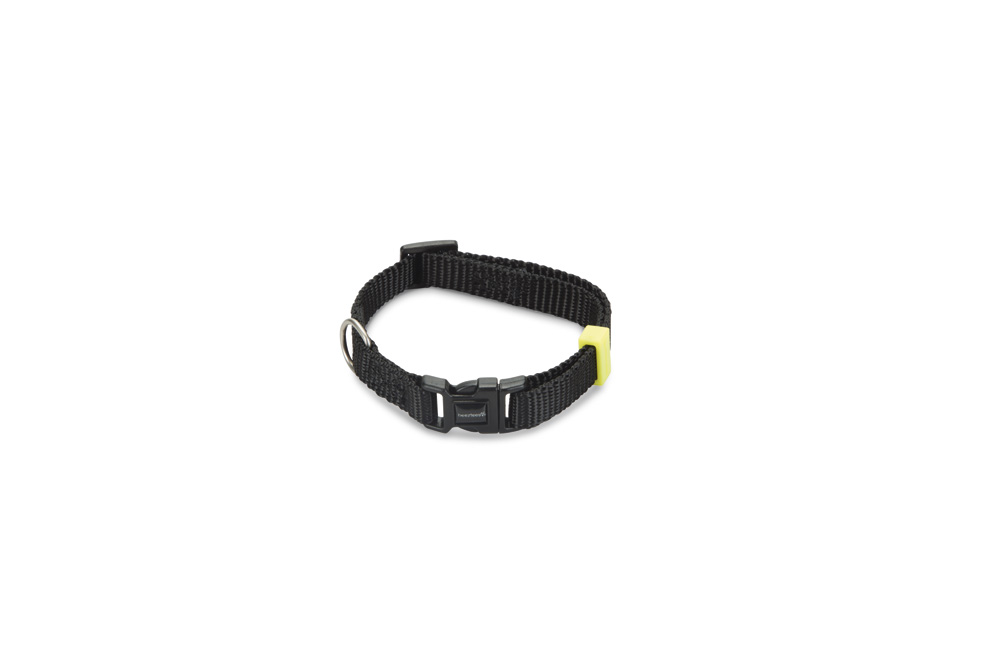 Beeztees Uni - Halsband Hond - zwart - 10 mm - 20 tot 30 cm Beeztees Uni - Halsband Hond - zwart - 10 mm - 20 tot 30 cm