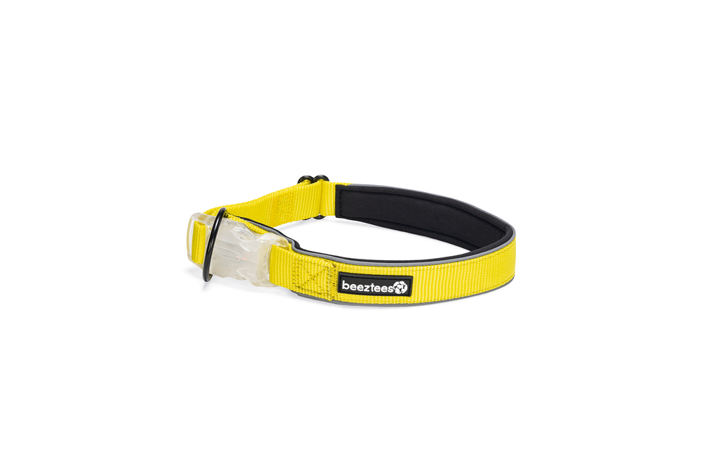Beeztees Parinca - Lichtende Halsband - Hond - 31.00 cm - Geel - 4.20 cm - 50 tot 55 cm - 4.50 cm