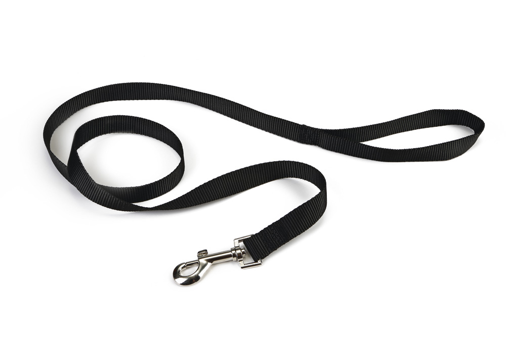 Beeztees - Hondenriem - Zwart - 1.5 cm - 100 cm Beeztees - Hondenriem - Zwart - 1.5 cm - 100 cm