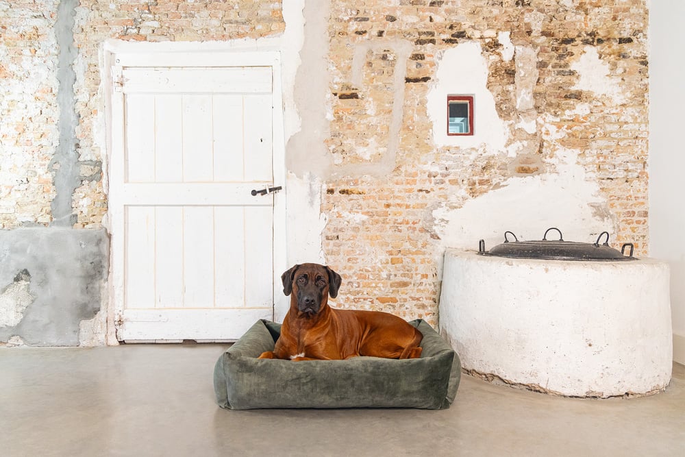 Designed by Lotte  Yndis - Hondenmand - Bouclé - Terracotta - 15x70x100 cm - L Designed by Lotte  Yndis - Hondenmand - Bouclé - Terracotta - 15x70x100 cm - L