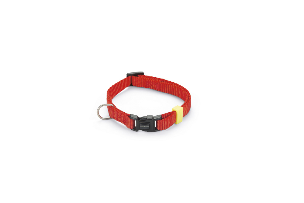 Beeztees Uni - Halsband Hond - rood - 10 mm - 20 tot 30 cm Beeztees Uni - Halsband Hond - rood - 10 mm - 20 tot 30 cm
