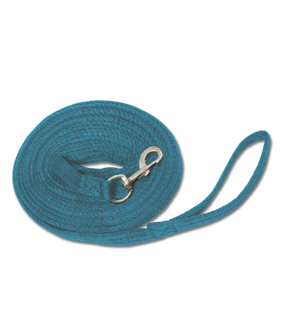 Waldhausen Soft - Longeerlijn - Azur blauw - 800 cm Waldhausen Soft - Longeerlijn - Azur blauw - 800 cm