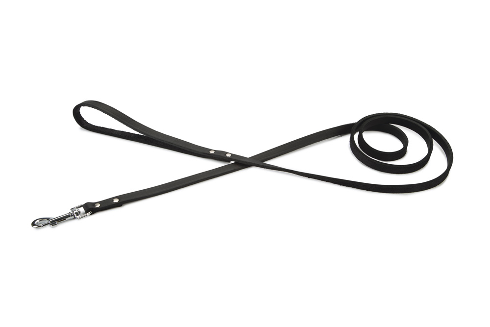 Beeztees Geniet - Hondenriem - zwart - 1.2 cm - 165 cm Beeztees Geniet - Hondenriem - zwart - 1.2 cm - 165 cm