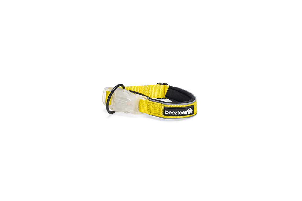 Beeztees Parinca - Lichtende Halsband - Hond - Geel - 30 tot 35 cm Beeztees Parinca - Lichtende Halsband - Hond - Geel - 30 tot 35 cm