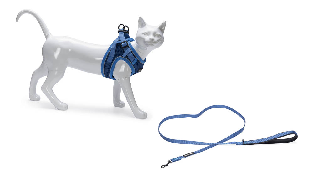 Beeztees Parinca - Kattentuigje - 31 cm - Blauw - S-M Beeztees Parinca - Kattentuigje - 31 cm - Blauw - S-M