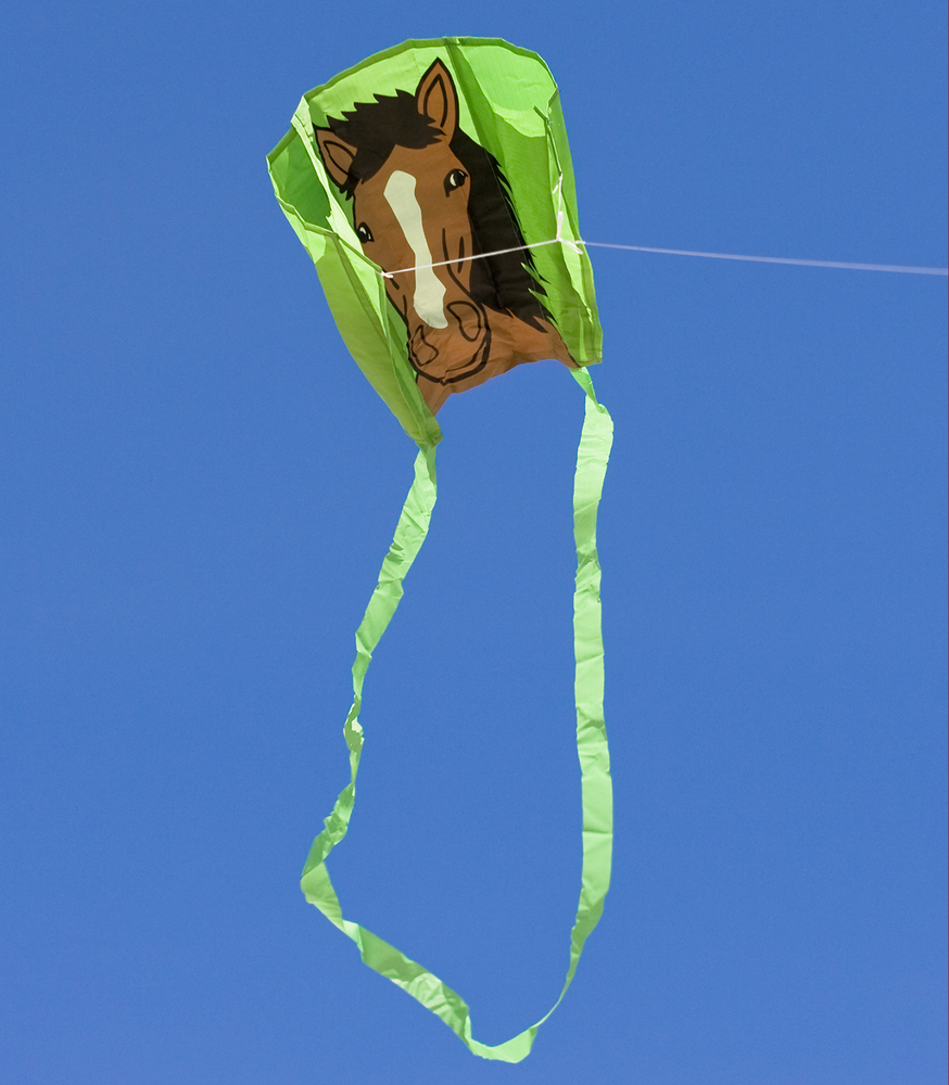 Beeztees Premium Parinca - Hondenriem - grijs - 25 mm - 120 cm Beeztees Premium Parinca - Hondenriem - grijs - 25 mm - 120 cm