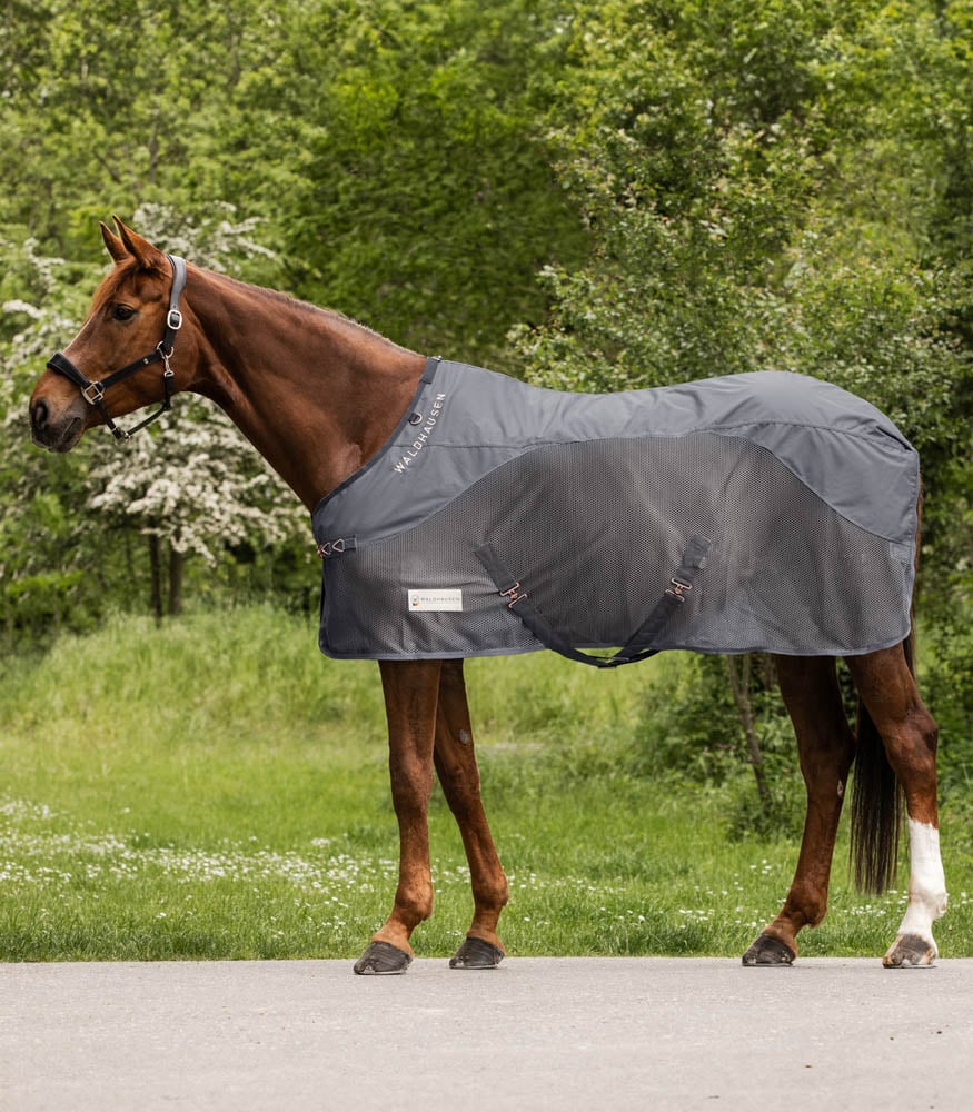 Waldhausen Comfort - Vliegendeken - Paardendeken - Grijs - 115/165 Waldhausen Comfort - Vliegendeken - Paardendeken - Grijs - 115/165